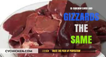 Chicken Liver vs. Gizzards: Understanding the Differences and Similarities