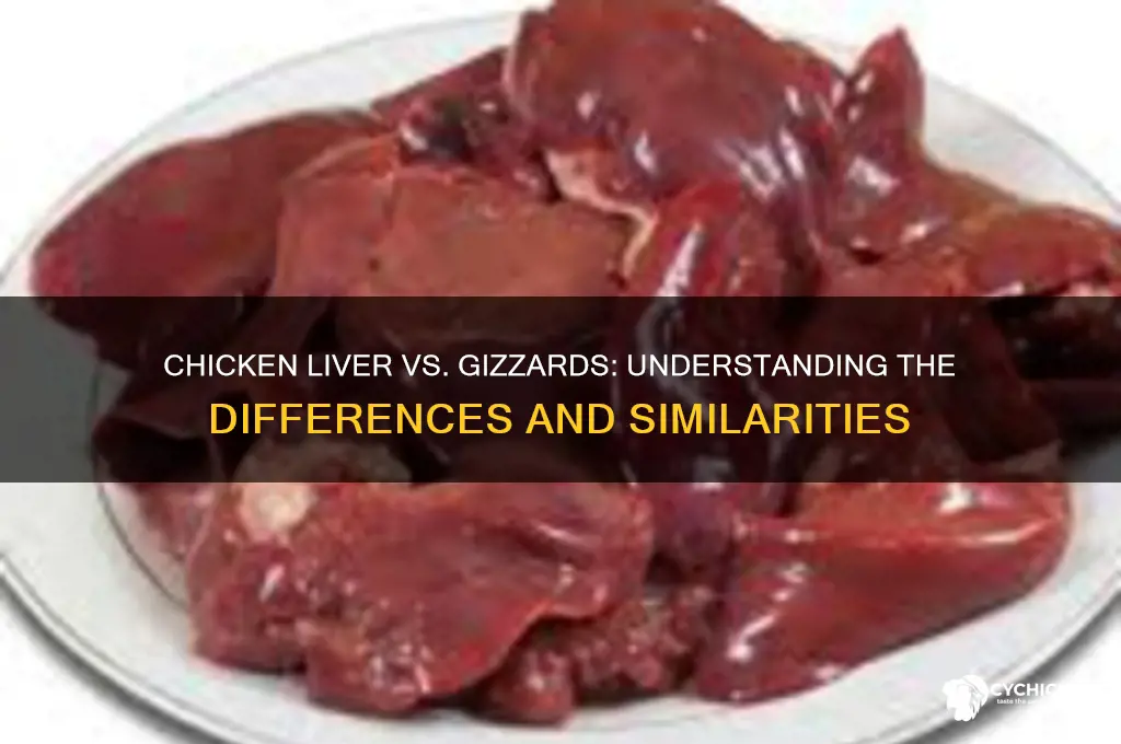 is chicken liver and gizzards the same