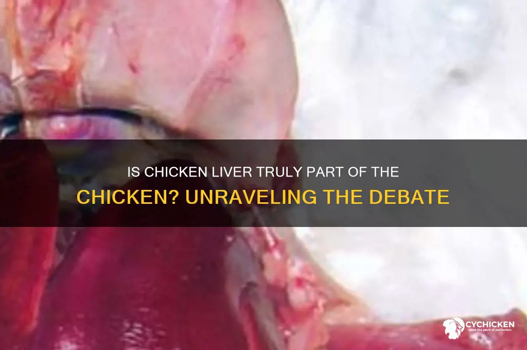is chicken liver considered part of a chicken