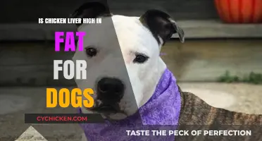 Is Chicken Liver Fattening for Dogs? Nutritional Facts Revealed