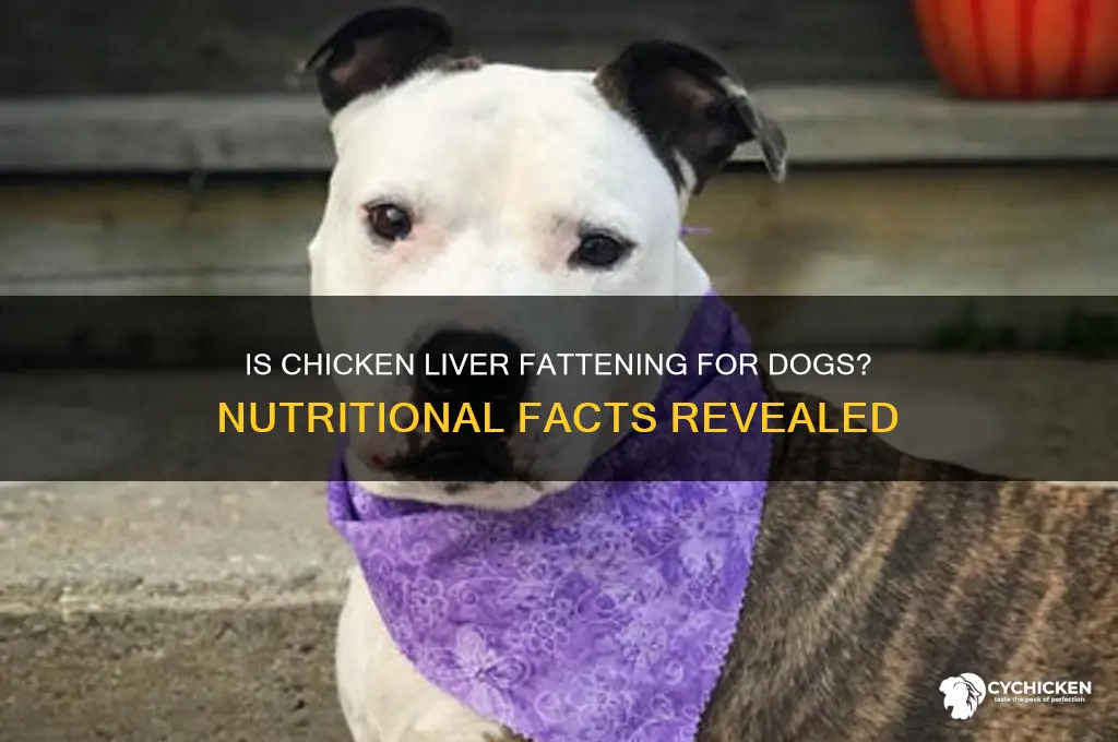is chicken liver high in fat for dogs