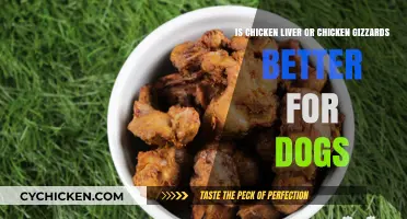 Chicken Liver vs Gizzards: Which is Healthier for Dogs?