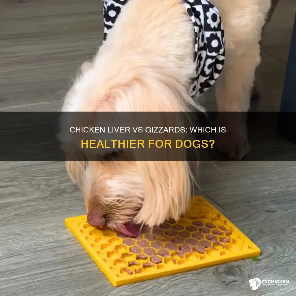 is chicken liver or chicken gizzards better for dogs