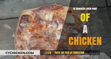 Is Chicken Liver Part of a Chicken? Unraveling Poultry Anatomy