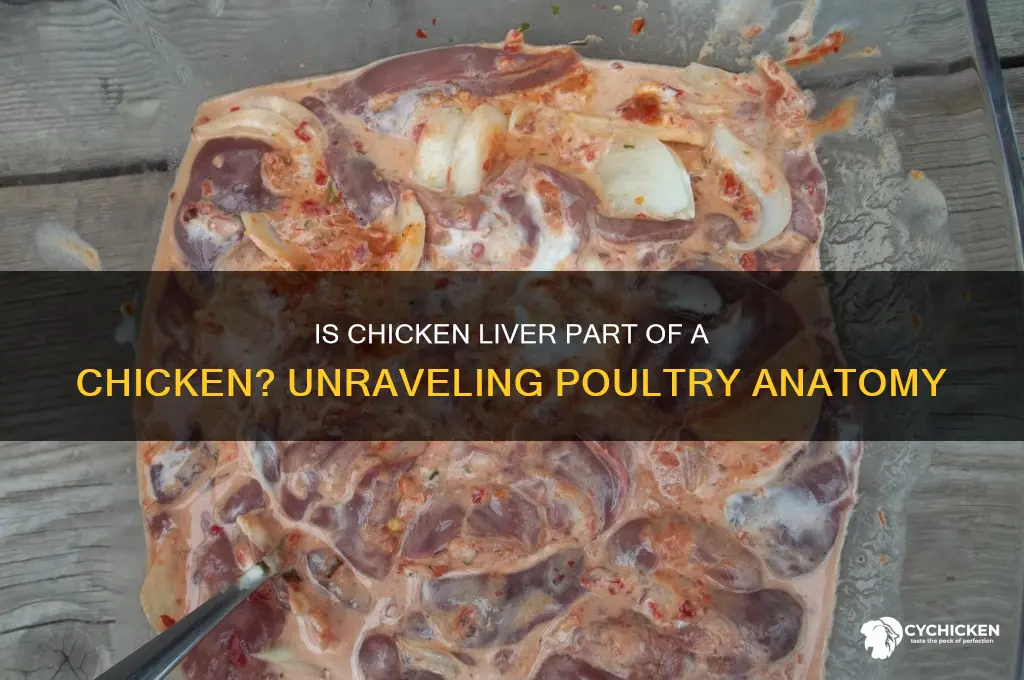 is chicken liver part of a chicken