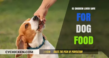 Is Chicken Liver Safe for Dogs? Benefits, Risks, and Serving Tips