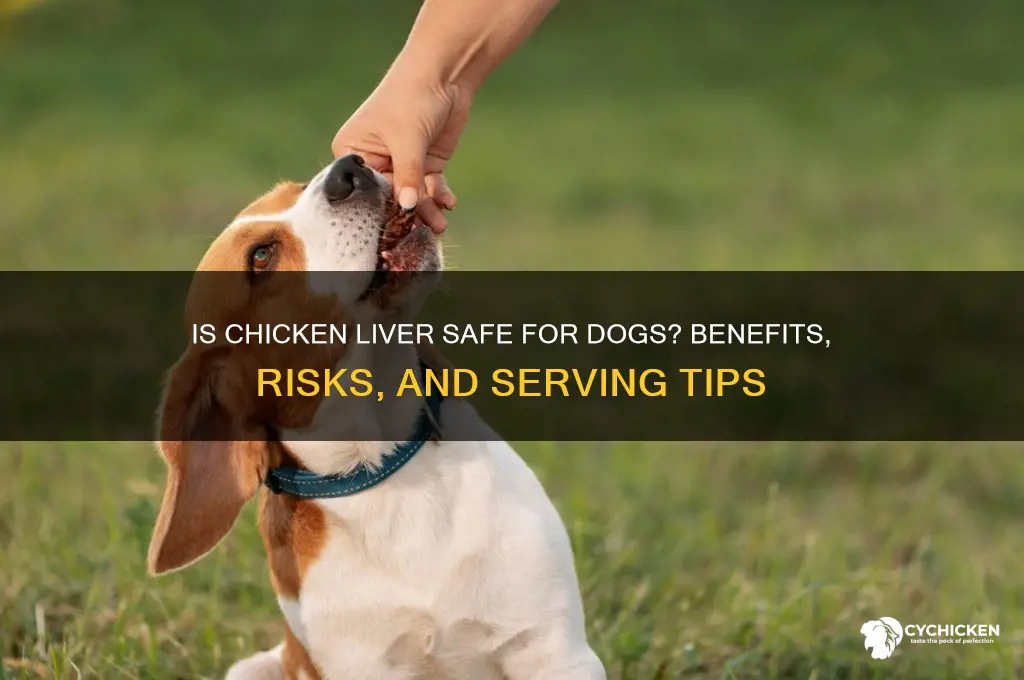 is chicken liver safe for dog food