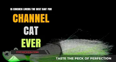 Chicken Livers: Best Bait for Channel Cats?