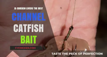 Chicken Livers as Catfish Bait: The Ultimate Angler's Secret?