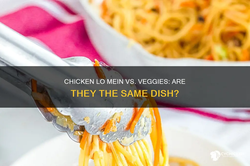 is chicken lo mein the same as vegetables