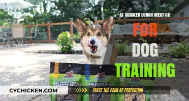 Can Chicken Lunch Meat Safely Enhance Your Dog Training Sessions?