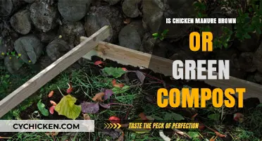Chicken Manure Compost: Brown or Green? A Gardening Guide