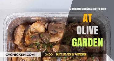 Is Olive Garden's Chicken Marsala Gluten-Free? A Detailed Look