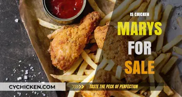 Exploring the Market: Is Chicken Mary's Available for Purchase?