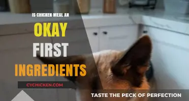 Is Chicken Meal a Good First Ingredient in Pet Food?