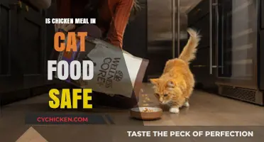 Is Chicken Meal in Cat Food Safe? A Comprehensive Guide