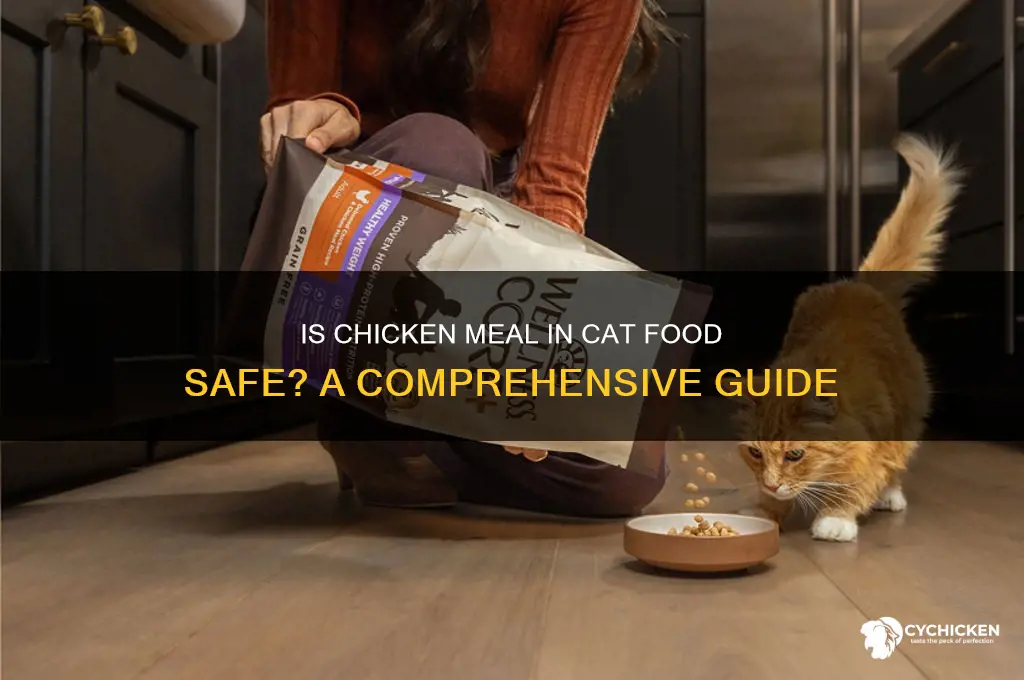 is chicken meal in cat food safe