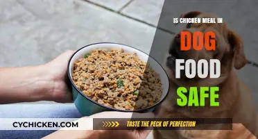 Is Chicken Meal in Dog Food Safe? A Comprehensive Guide