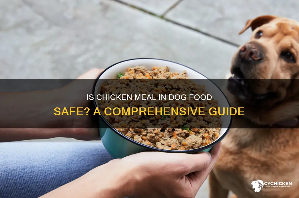 is chicken meal in dog food safe