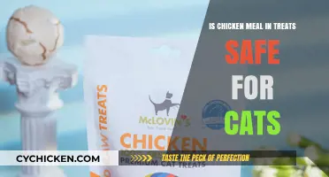 Chicken Meal in Cat Treats: Safe or Risky for Your Feline?