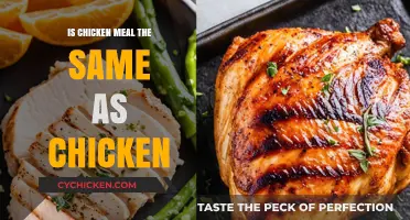 Chicken Meal vs. Chicken: Understanding the Key Differences