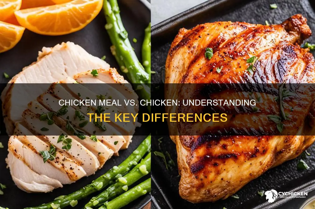 is chicken meal the same as chicken