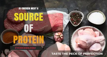 Is Chicken Meat a High-Protein Food Source? Facts Revealed