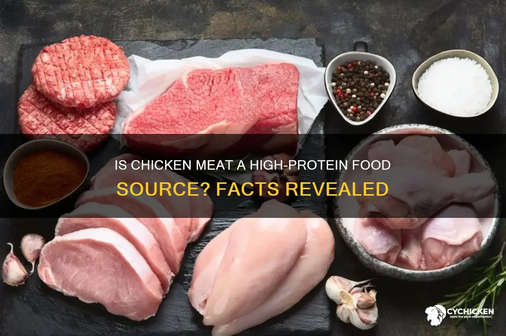 is chicken meat a source of protein