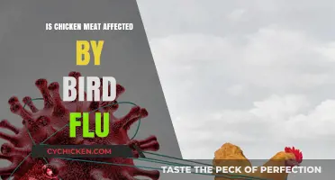 Bird Flu and Chicken Meat: Safety Concerns and Facts