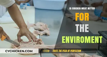 Is Chicken Meat a Greener Choice for Our Planet?