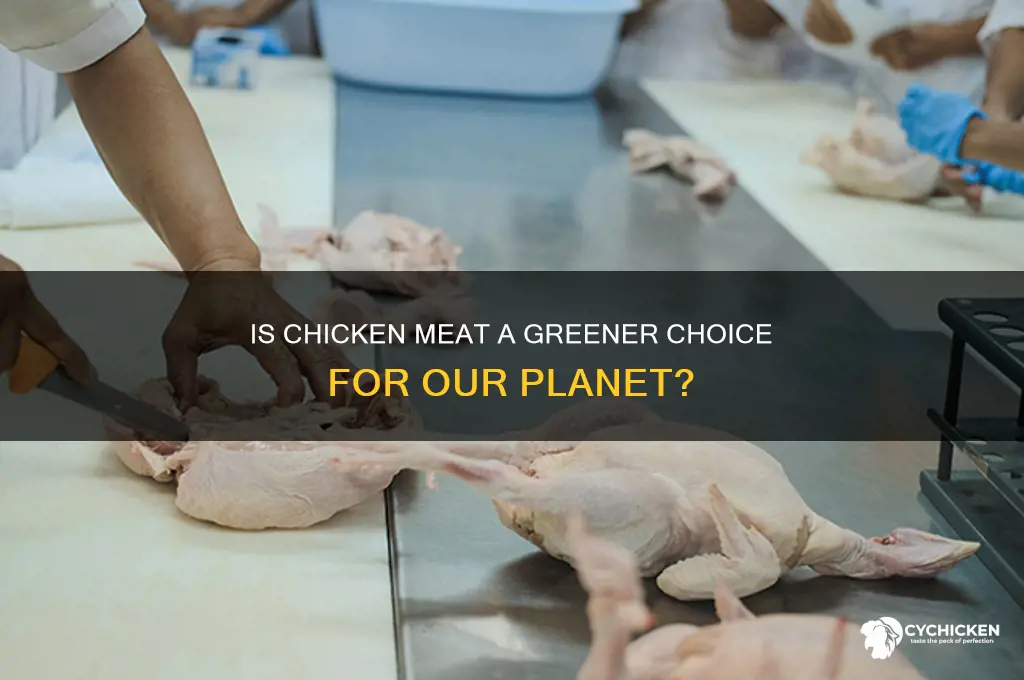 is chicken meat better for the enviroment
