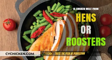 Chicken Meat: Hens or Roosters? Unraveling the Poultry Puzzle