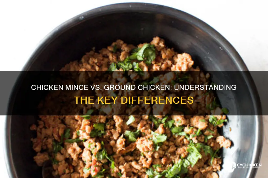 is chicken mince the same as ground chicken