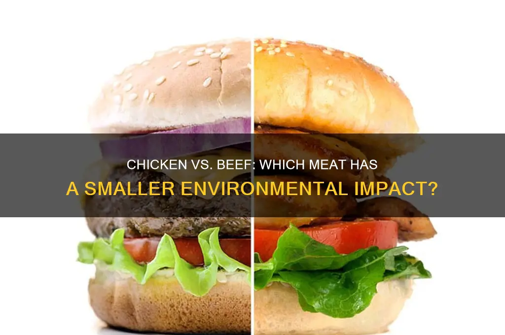 is chicken more environmentally friendly than beef