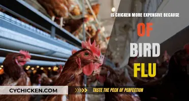 Bird Flu Impact: Why Chicken Prices Are Rising Sharply
