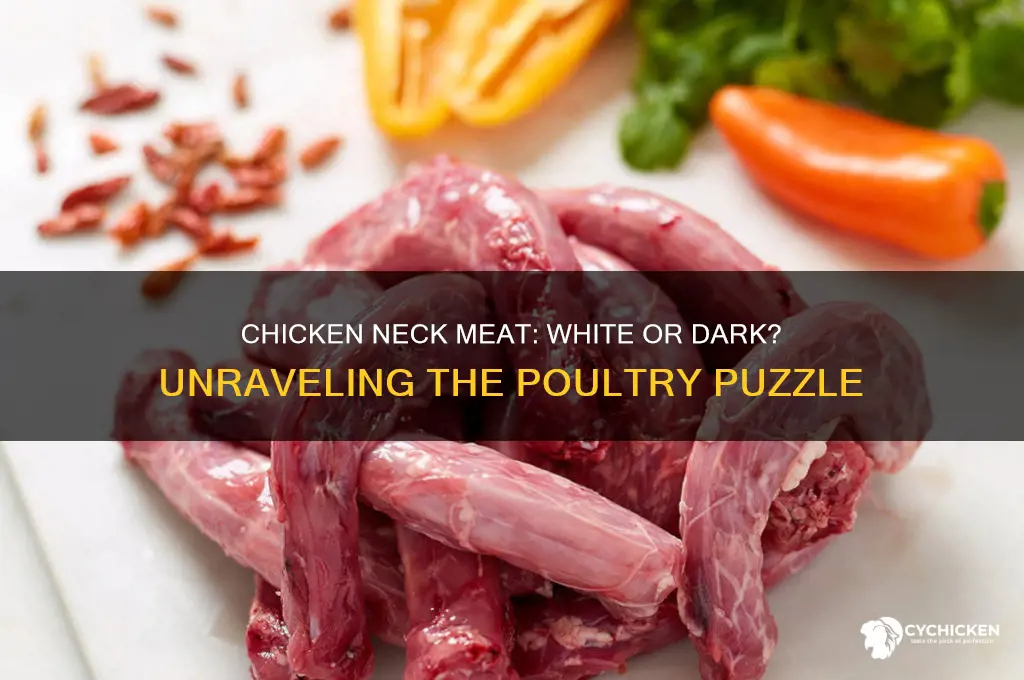 is chicken neck white or dark meat