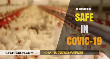 Is Chicken Safe During COVID-19? Debunking Food Safety Myths