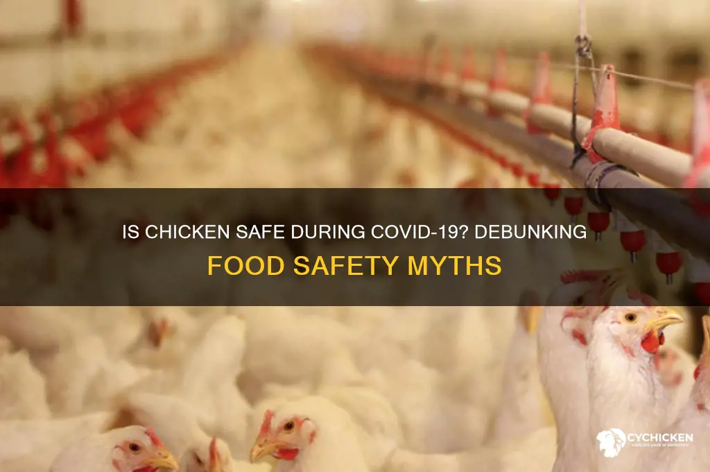 is chicken not safe in covic-19