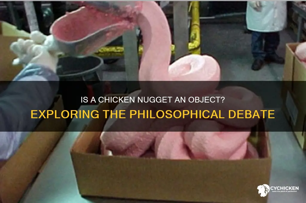 is chicken nugget a object