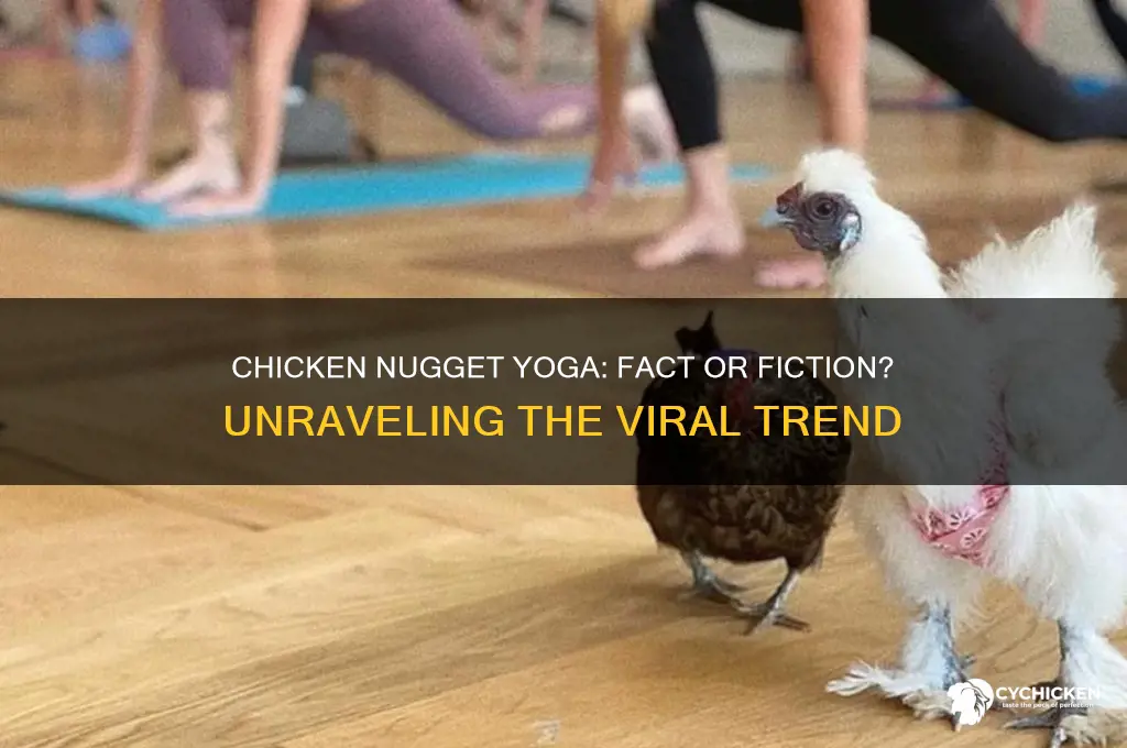 is chicken nugget yoga real