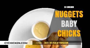 Are Chicken Nuggets Made from Baby Chicks? The Truth Revealed