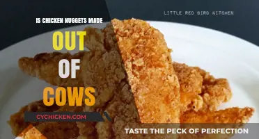 Are Chicken Nuggets Made from Cows? Debunking the Myth