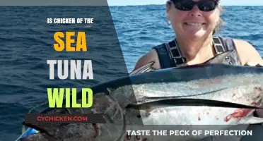 Is Chicken of the Sea Tuna Wild? Uncovering the Truth