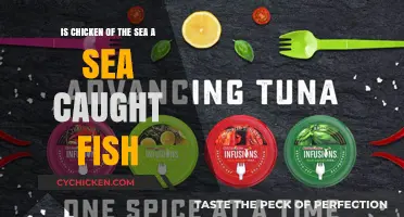 Where Does Chicken of the Sea Come From?