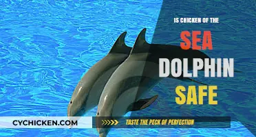 Is Chicken of the Sea Dolphin Safe? Uncovering the Truth