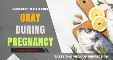 Chicken of the Sea: Safe Pregnancy Snack?