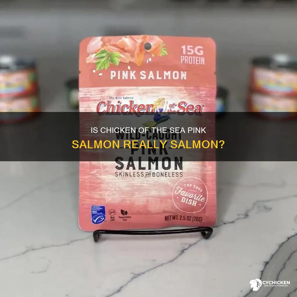 is chicken of the sea oink salmon actually salmon