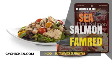 Is Chicken of the Sea Salmon Farmed? Uncovering the Truth