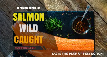 Is Chicken of the Sea Salmon Wild Caught? Unveiling the Truth
