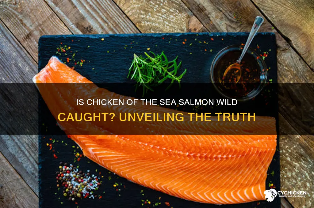 is chicken of the sea salmon wild caught